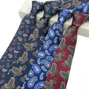 アメカジ ビジネス 父の日 男女 パーティ メンズ ネクタイ 職業ネクタイ JKネクタイ 司会 制服 2色