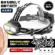 モーションヘッドライト