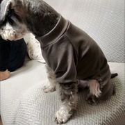 小型犬・猫用 秋冬あったかホームウェア ベースレイヤー