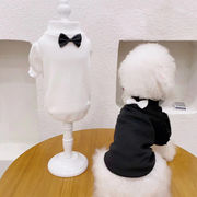 犬猫兼用 秋スタイル ハイネックベースレイヤー 上品かわいいペットウェア 直送
