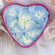 アジサイ 押し花 ハンドメイド アクセサリー スマホケース キャンドル ハーバリウム ドライフラワー