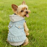 ペット服　犬用服　猫用服　ペット用品　秋冬用ペット服　小型犬服　ペットドレス