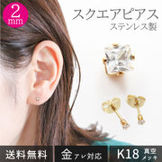 ステンレス ラインストーン スクエア （2mm） 1ペア スタッドピアス