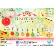 【９月頃入荷予定】産地直送！採れたてフルーツリングチャーム